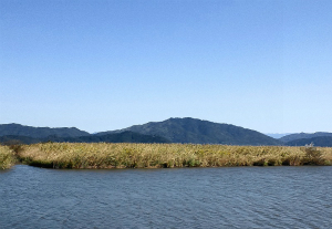 西の湖と安土山・観音寺山