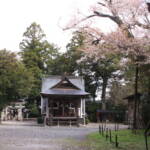 3. 阿志都弥神社と山桜