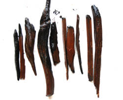 図2塩津港遺跡出土の松明 塩津港遺跡で最も多く出土した木製遺物。 どれも歪んだ原材（ヒノキの枝）を加工。