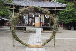 老杉神社茅の輪