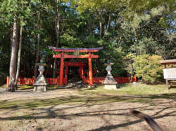 園山稲荷大社の鳥居