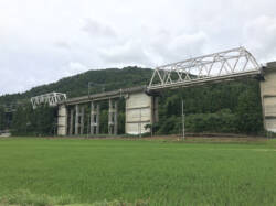 写真２　塩津丸山古墳群遠景（写真左側の木立の中に1号墳・2号墳が所在、右側の高まりが4号墳）