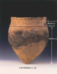 写真1　関津遺跡出土土器