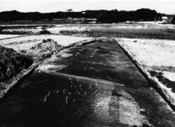 写真5 太田氏館遺跡で発見された地震痕跡(「ほ場整備関係遺跡発掘調査報告書ⅩⅧ-5」(H3)より)