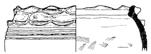 小津浜遺跡出土浮線紋土器（実測図）