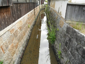 東祇王井川