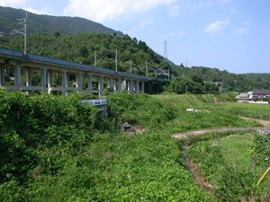 湖西線の高架と江若鉄道の築堤 