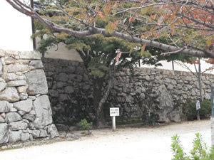 滋賀院門跡の石垣