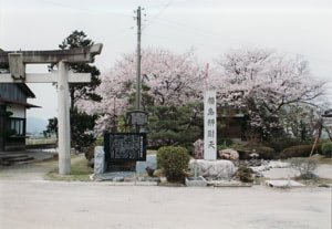 桜の季節の福之島弁財天