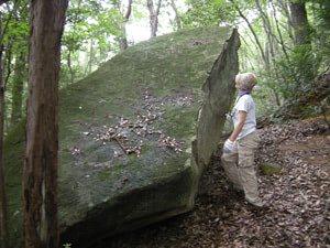 山中の露頭する巨石