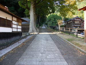 須賀神社の参道