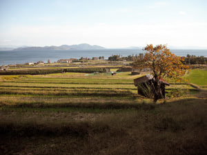 棚田と琵琶湖が織り成す風景