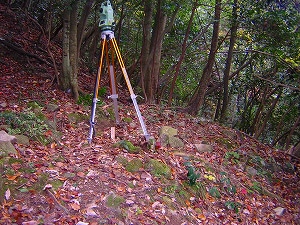 山中の不自然な平坦地